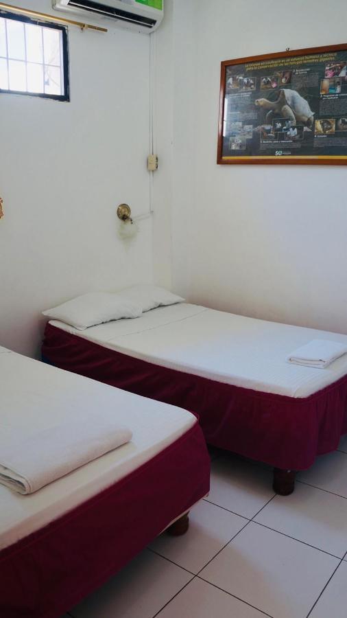 Hostal Marysol プエルトアヨラ エクステリア 写真